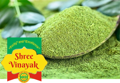Moringa Powder