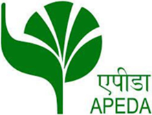apeda-logo-oa