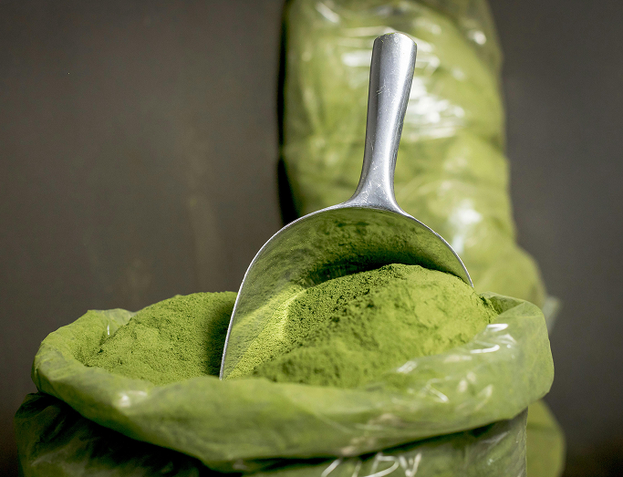 moringa-leaf-powder